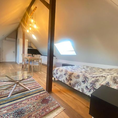 Appartement Les Magniolas à Prilly Extérieur photo